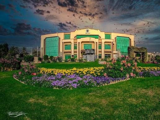 College of Physicians and Surgeons Pakistan, CPSP supervisor